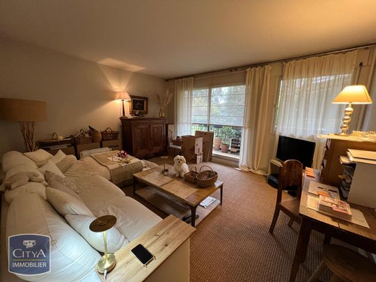 Location Appartement 2 pièces 49m² SCEAUX 92330 - Photo 1