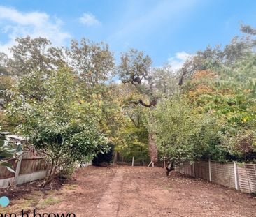 Tring Gardens - Photo 1