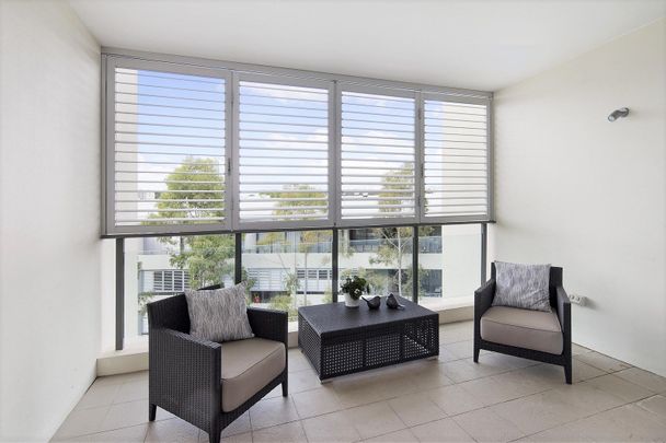 Designer 2 Bedroom Apartment in Rushcutters Bay - Photo 1