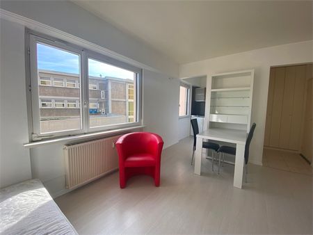 Location Appartement 1 pièce 20m² - Photo 3