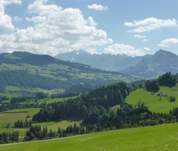 2 1/2-room holiday apartment - Photo 6