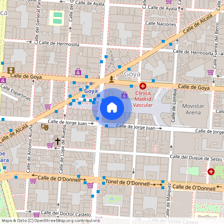 Avenida Felipe II 16, 1D 28009, Salamanca, Goya, Madrid