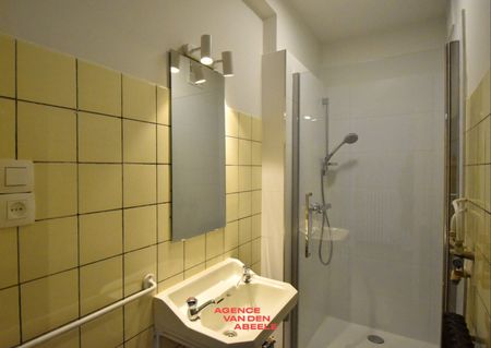 Gerenoveerd appartement in hartje Brugge - Photo 3