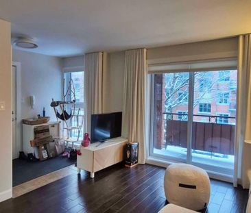 Appartement à louer - Montréal (Rosemont/La Petite-Patrie) (Shop An... - Photo 1