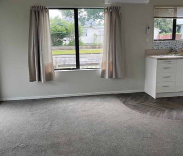 TWO BEDROOMS - LEVIN - Photo 1