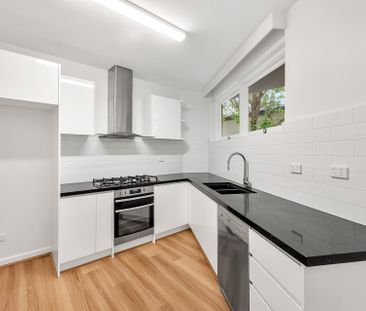 5/34 Alma Road, Camberwell - Photo 2