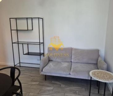2 camere, Central, USAMV, UMF, Motilor, BTarena, Clinicilor - Fotografie 1