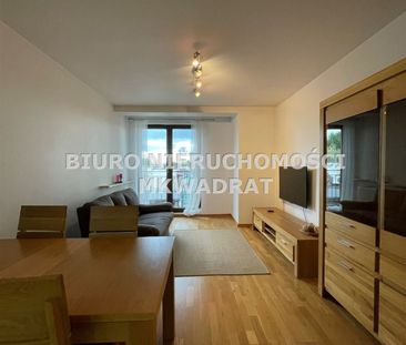 Rybnik, Śródmieście - Photo 2