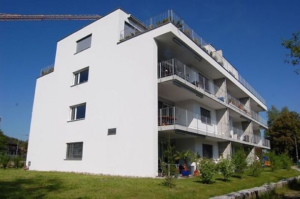 Petit mais bien - Photo 1