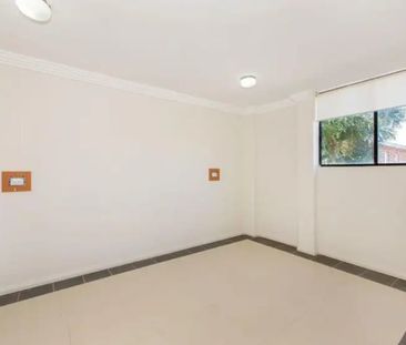 Banksia - Photo 3