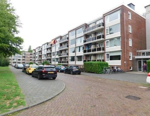 UW PERFECTE HUURWONING IN BREDA - Photo 1