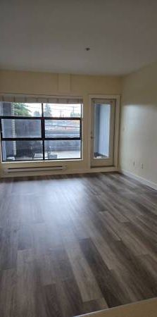 Pet Friendly Unfurnished Studio + Patio Apartment (6638 Main St) - Photo 1