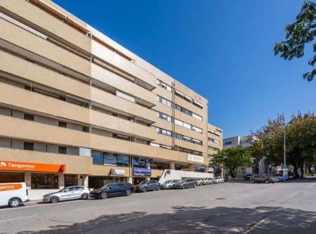 São Vicente, Braga - Photo 4