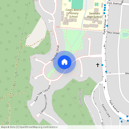 22 Silky Oak Drive, Caves Beach