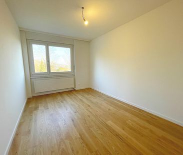 Attikawohnung mit grosser Terrasse und sensationeller Weitsicht - Photo 4