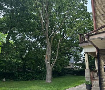 For Lease - 1 Waverly Place Unit# 6, London East, Ontario - Photo 4