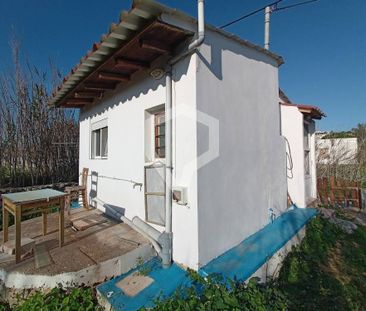 Μονοκατοικία για ενοικίαση Βάρη (Σύρος) - Photo 6