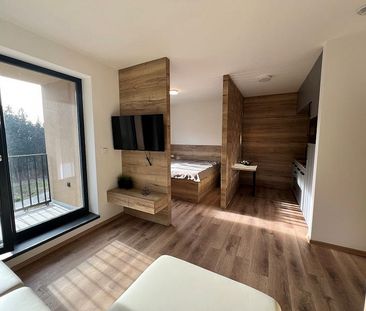 Pronájem bytu 1+kk 38 m² - Photo 1