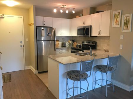 For Lease - 68 Main Street Unit# 308, Markham, Ontario - Photo 5