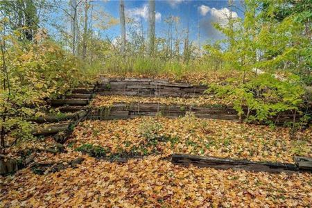 For Lease - 218 Ingleside Place Unit# Basement, Kitchener, Ontario - Photo 2