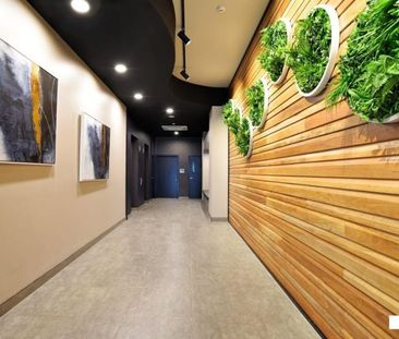 Entertain & Enjoy Brisbane Skyline on the Rooftop! - Photo 1