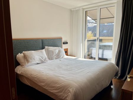 4-ROOM APARTMENT IN GENEVA – CENTER, FURNISHED, TERM LIMITED - Photo 5