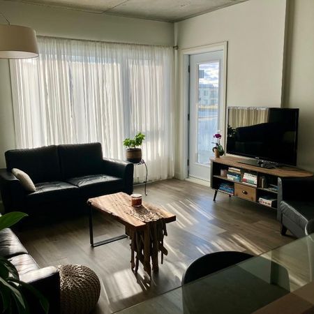 Bail à céder au 1er décembre 2025 - 1er mois GRATUIT - Tout inclus! - Photo 3