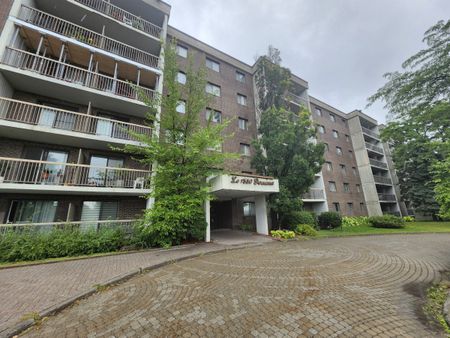 1550 Avenue Panama, #307 - Photo 5