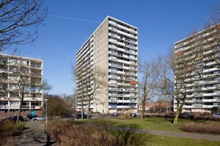 Te huur: Appartement Waddenstraat in Haarlem - Photo 2