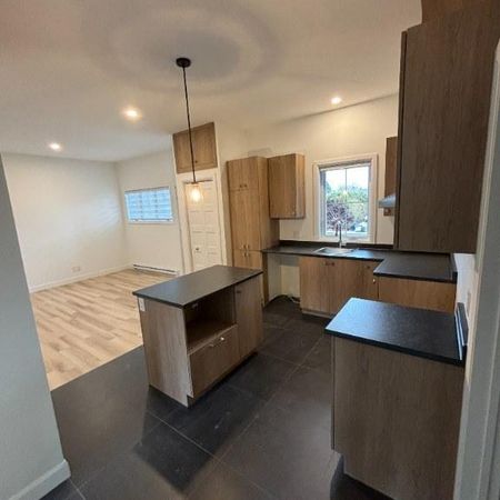 Beau 5 1/2 - Photo 3