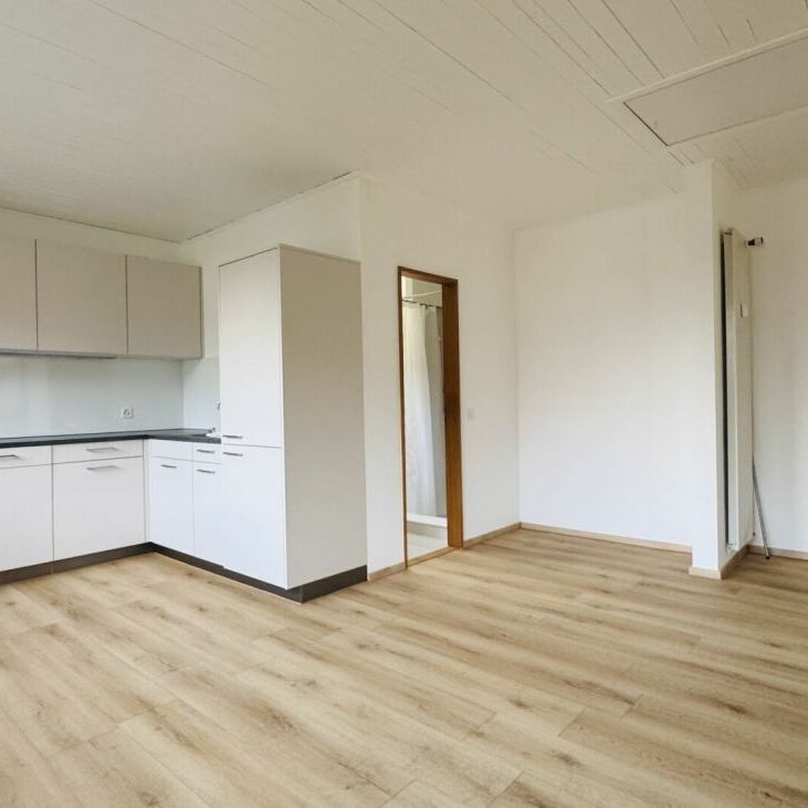 Gepflegte 2.5-Zimmer-Maisonette mit Garten & eigener WM/TU im 2-Familienhaus - per sofort - Foto 1