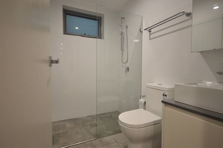 Spacious Studio - Close to City, RPA, University and King Street Newtown - Photo 4
