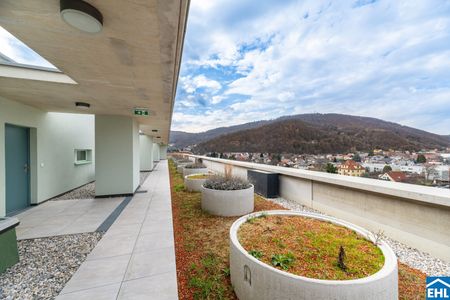 Urbane Oase in Graz: Perfekte Studentenwohnung mit viel Platz für Hobbys und Café-Flair! - Foto 2