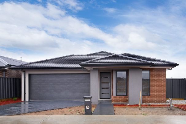 29 Jessup Street, Huntly - Photo 1