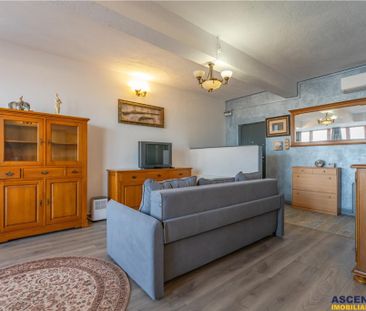 Studio, regim in vila, areal pretios, terasa, vedere panoram - Fotografie 4