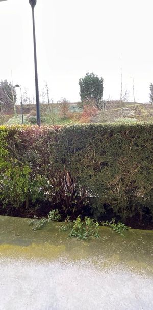 Location Appartement 2 pièces 42m² SALLAUMINES 62430 - Photo 1