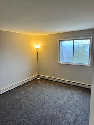 🏡 Newly Renovated 2 Bedroom - Photo 1