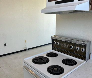 View Towers - 1147 Quadra St — 1 bedroom - Photo 2