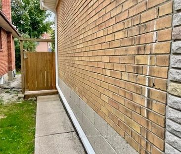 For Lease - 137 Palm Drive Unit# Lower, Toronto, Ontario - Photo 3