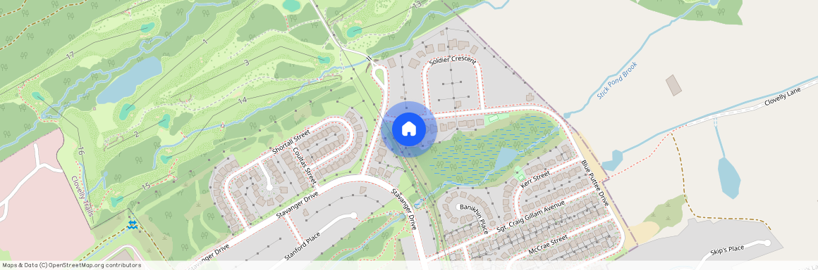 6 Blue Puttee Drive, A1A0A4, St. John'S