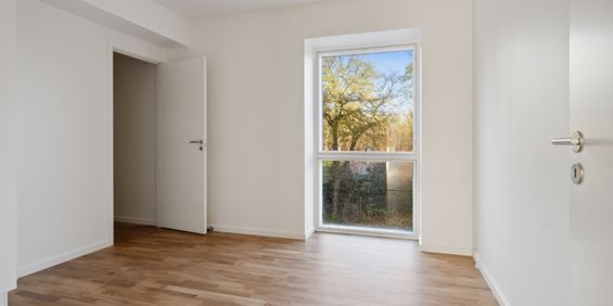 Hollænderen 10, 2. TV - Foto 3
