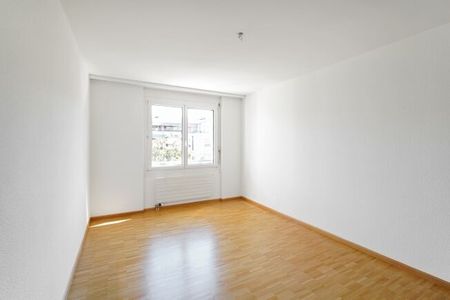 In the Sonnenpark - a sunny affair - Photo 5