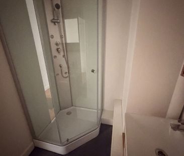 Location Appartement 1 pièce 25m² - Photo 6