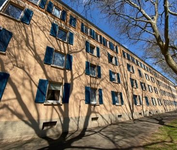 Demnächst frei! 4-Zimmer-Wohnung in Kaiserslautern - Foto 1