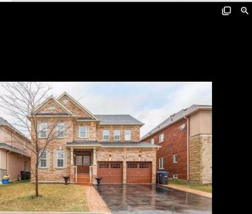 For Lease - 26 Aristocrat Road Unit# Bsmt, Brampton, Ontario - Photo 2