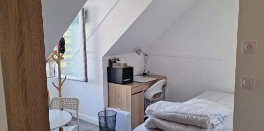 Appartement à louer, 1 pièce - Angers 49100 - Photo 3