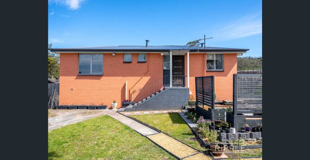 A Peaceful, Stylish Home with Exceptional Gardens - Photo 1