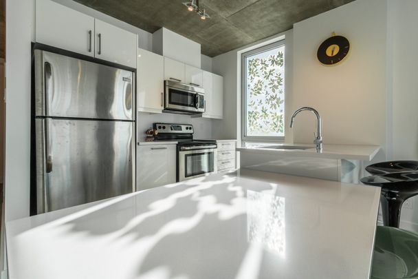 Condo for rent, Montréal (Le Sud-Ouest) - Photo 1