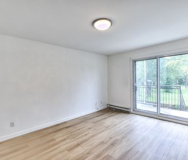 11667 Rue Sainte-Catherine Est - Photo 5