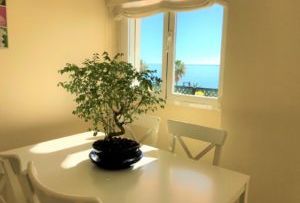 Ref. 47156 Alquiler para cortas temporadas